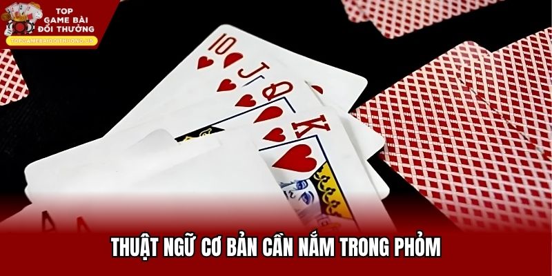 Thuật ngữ cơ bản cần nắm trong phỏm