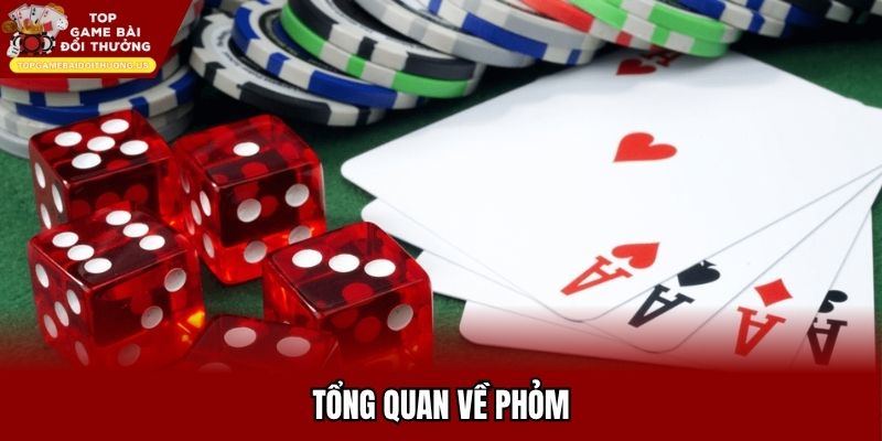 Tổng quan về phỏm