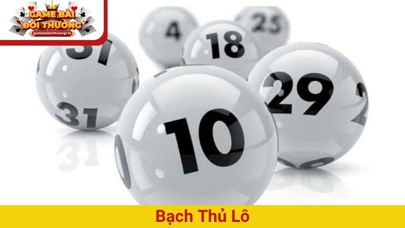 bạch thủ lô
